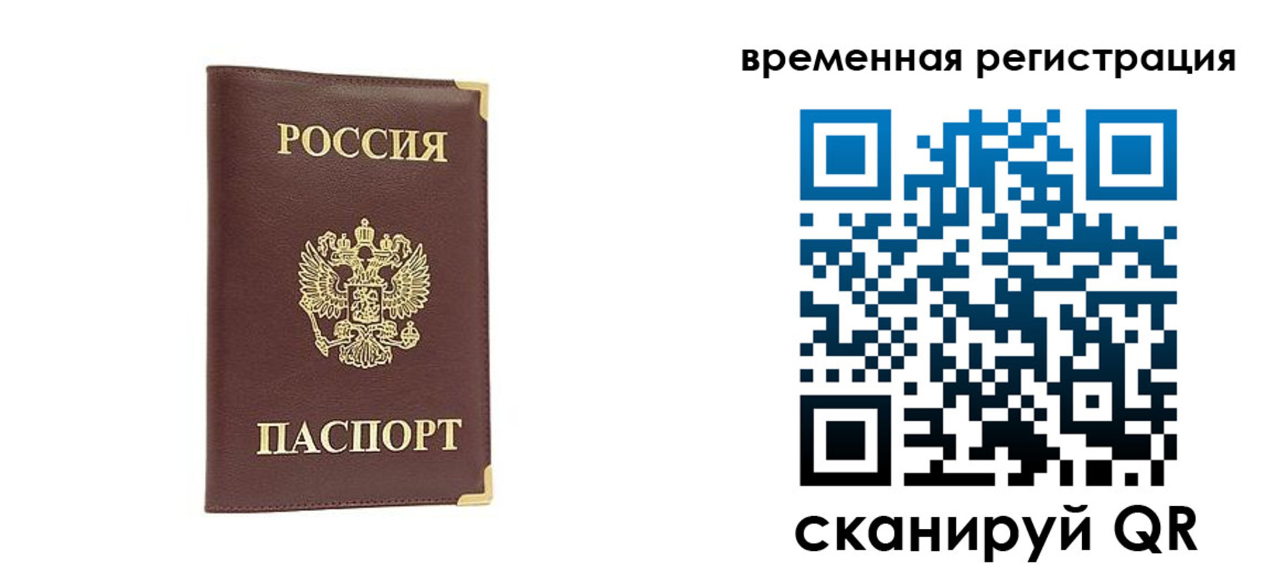 прописка от собственника в Кудрово